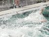 DSCF0098