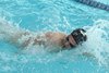 IMG_0090-001